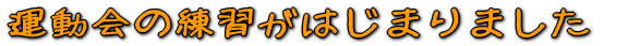 ^̗K͂܂܂ 